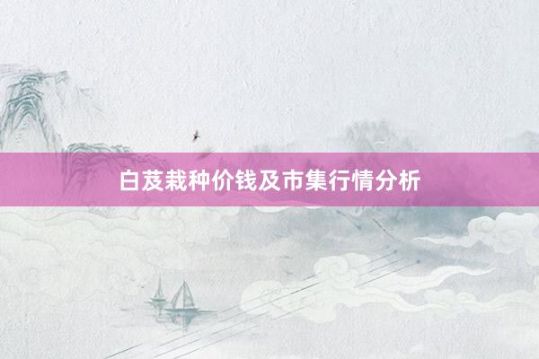 白芨栽种价钱及市集行情分析